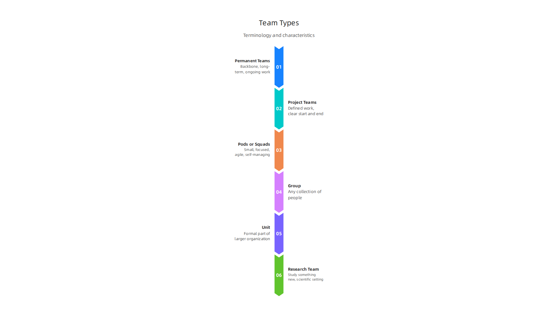 An infographic explaining various common team types and their operational characteristics within organizations.